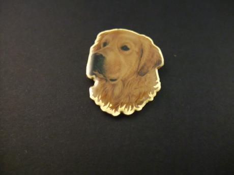 Golden Retriever rashond